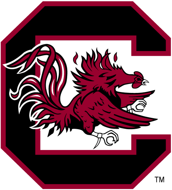 South Carolina Gamecocks 1983-Pres Primary Logo iron on paper